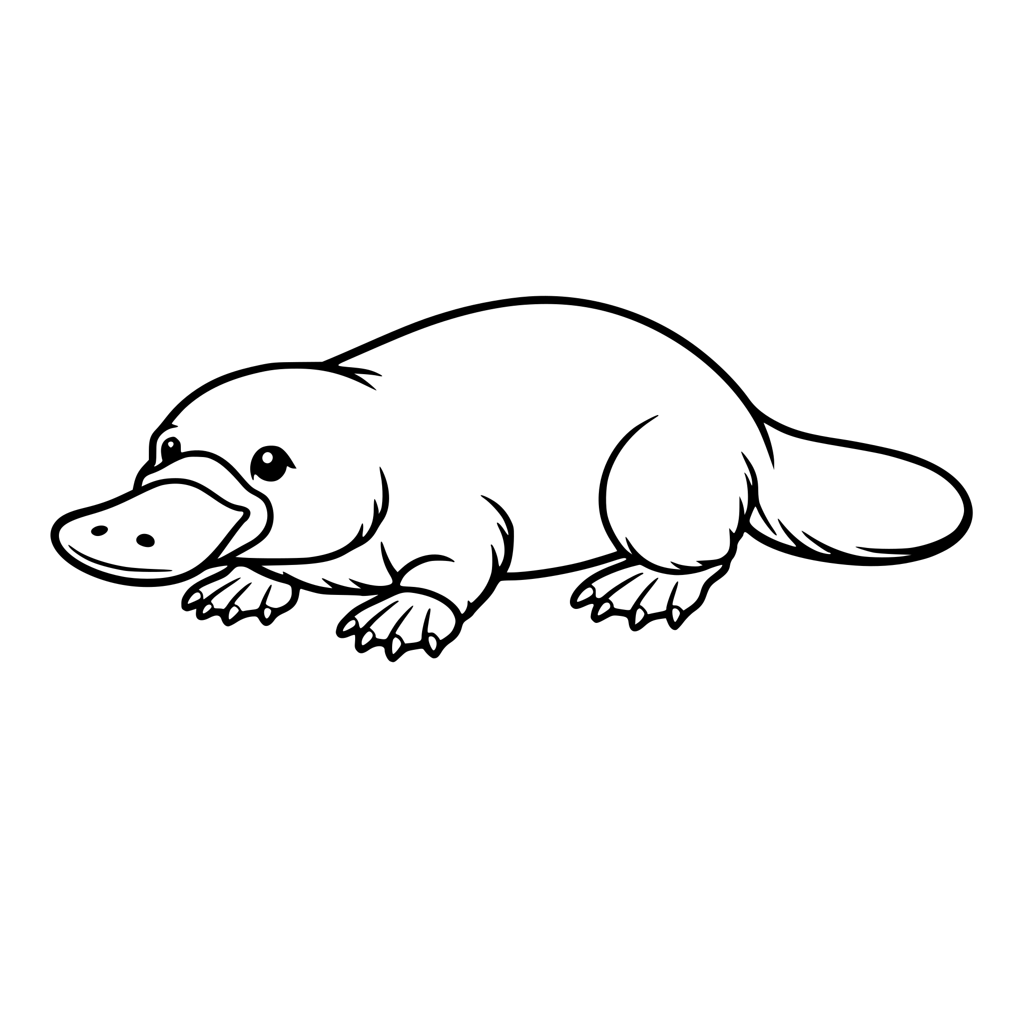 realistic platypus