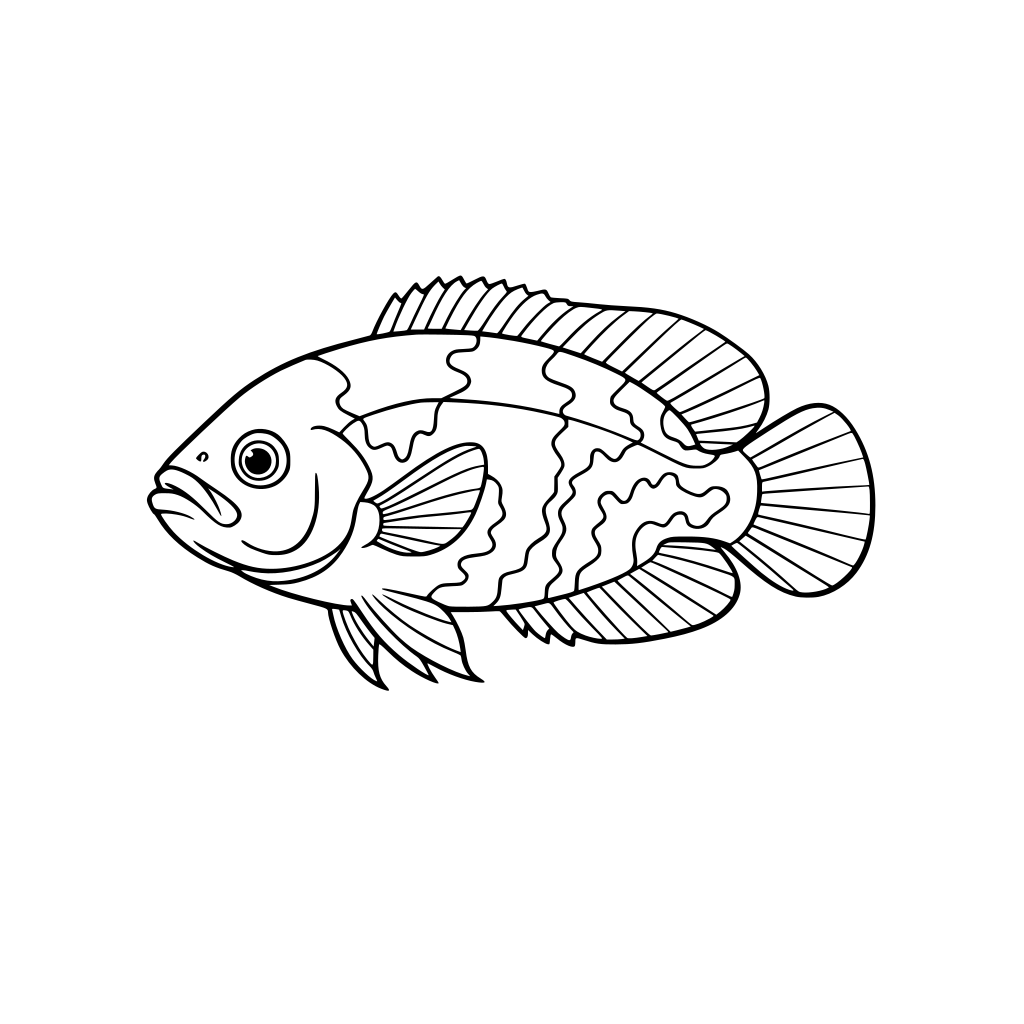 an Oscar cichlid fish