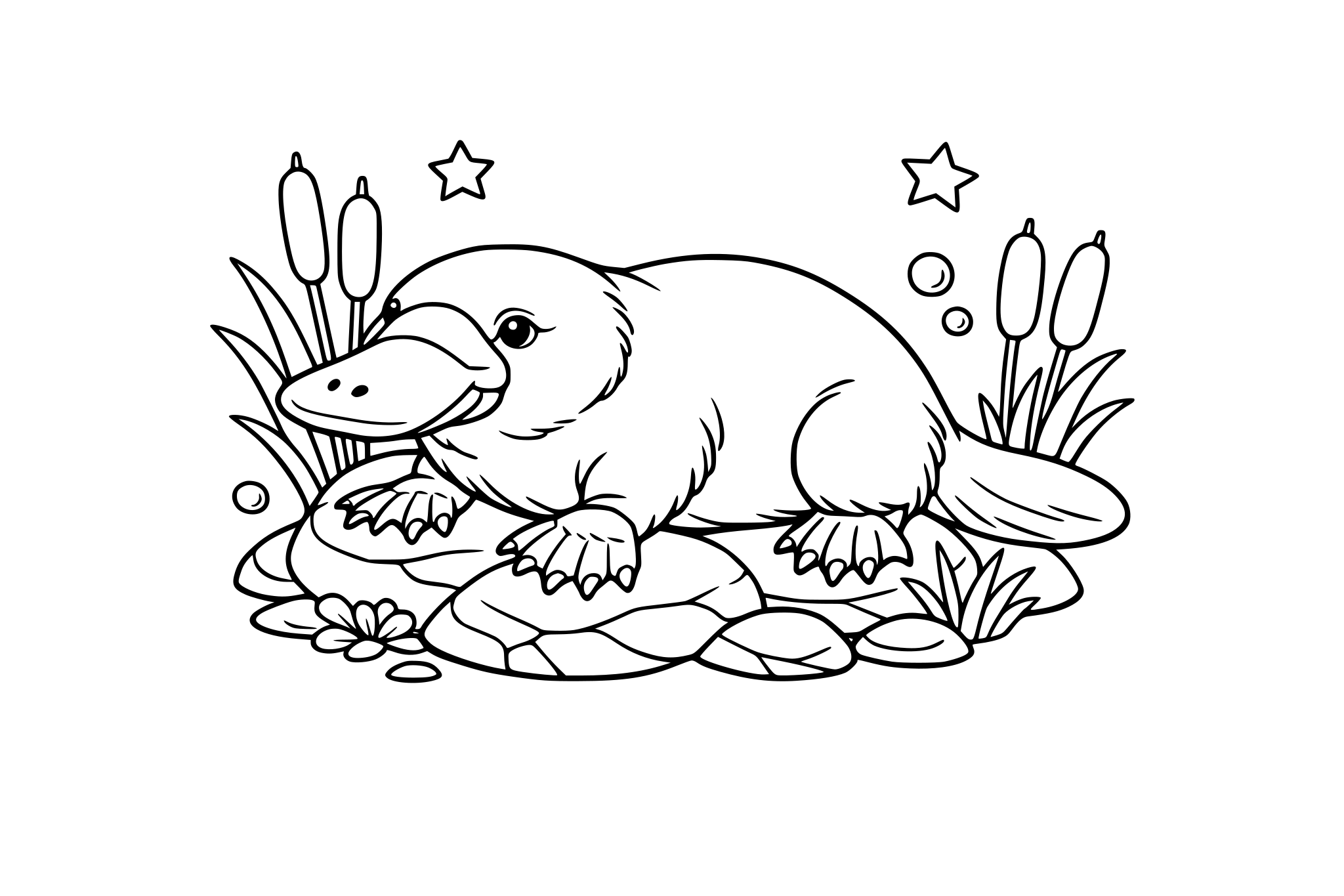 platypus realistic