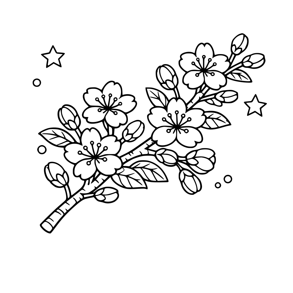 Cherry Blossom branch