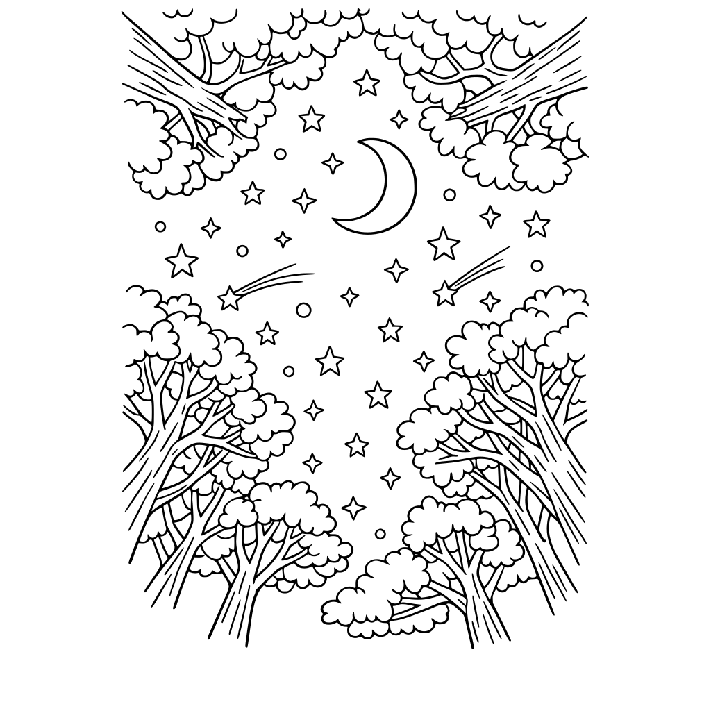 view from the ground of a tree canopy and starry night sky