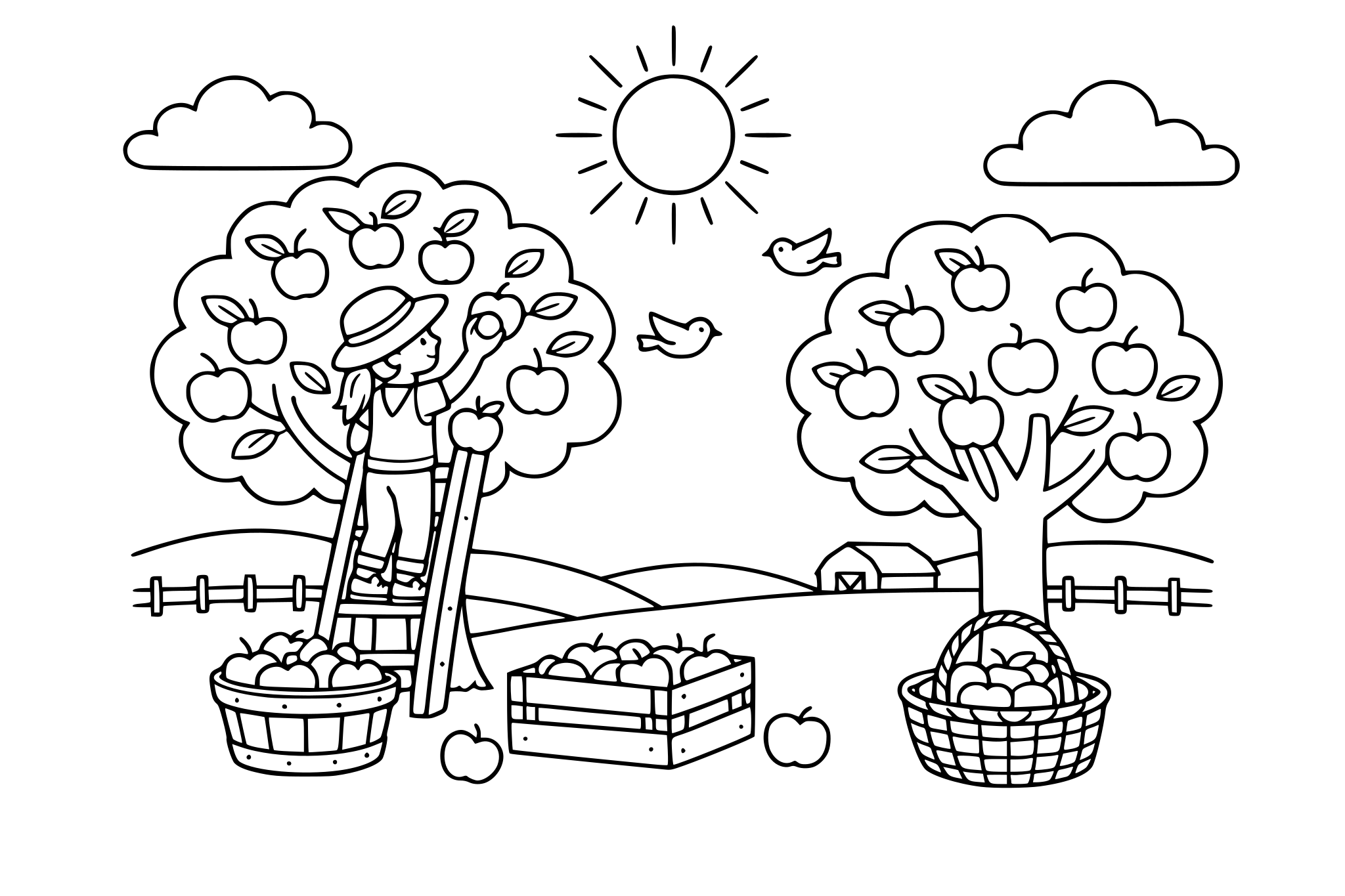 Apple picking orchard, minimalistic line.