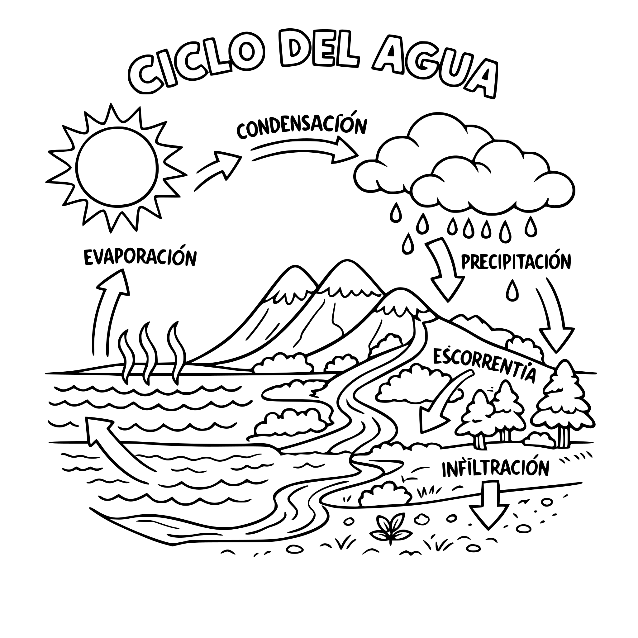 CICLO DEL AGUA