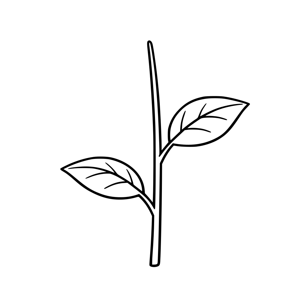outlined stem with two leaves