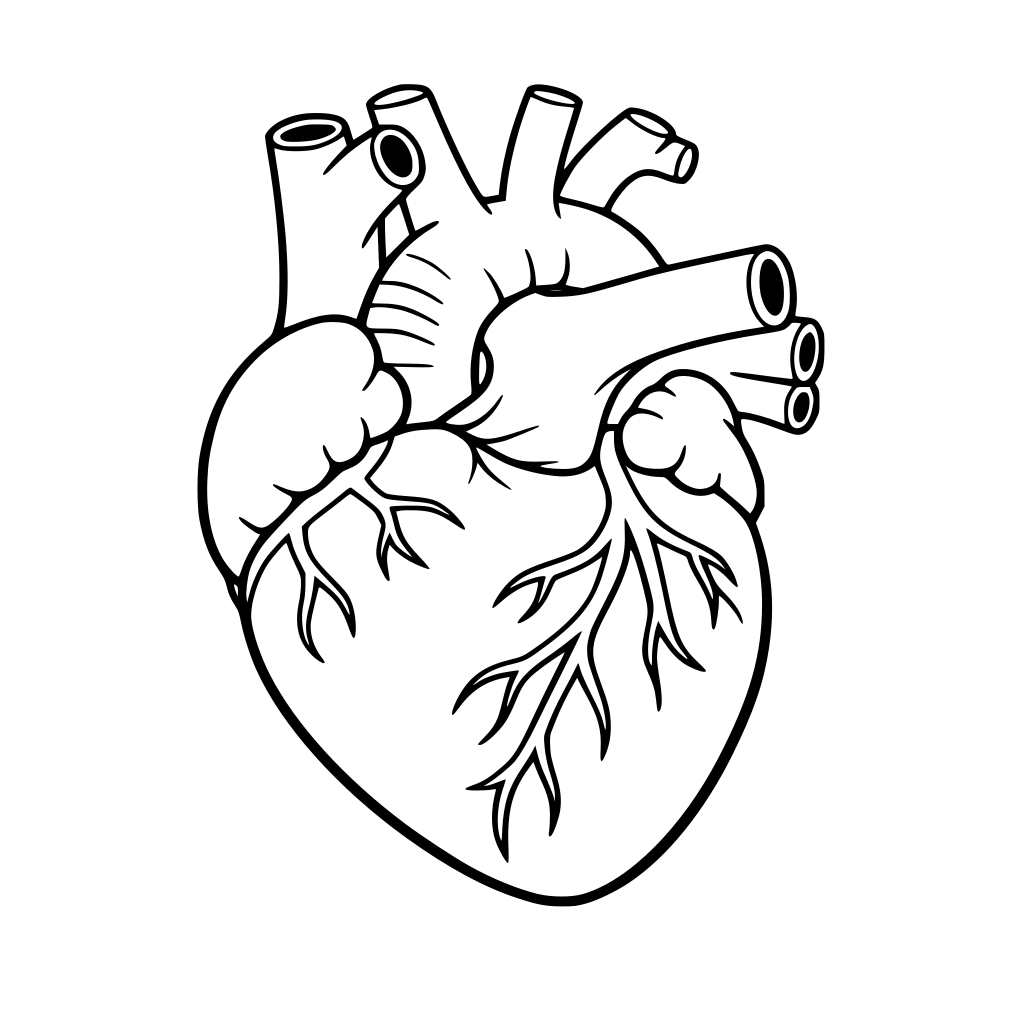 Corazón realista para colorear