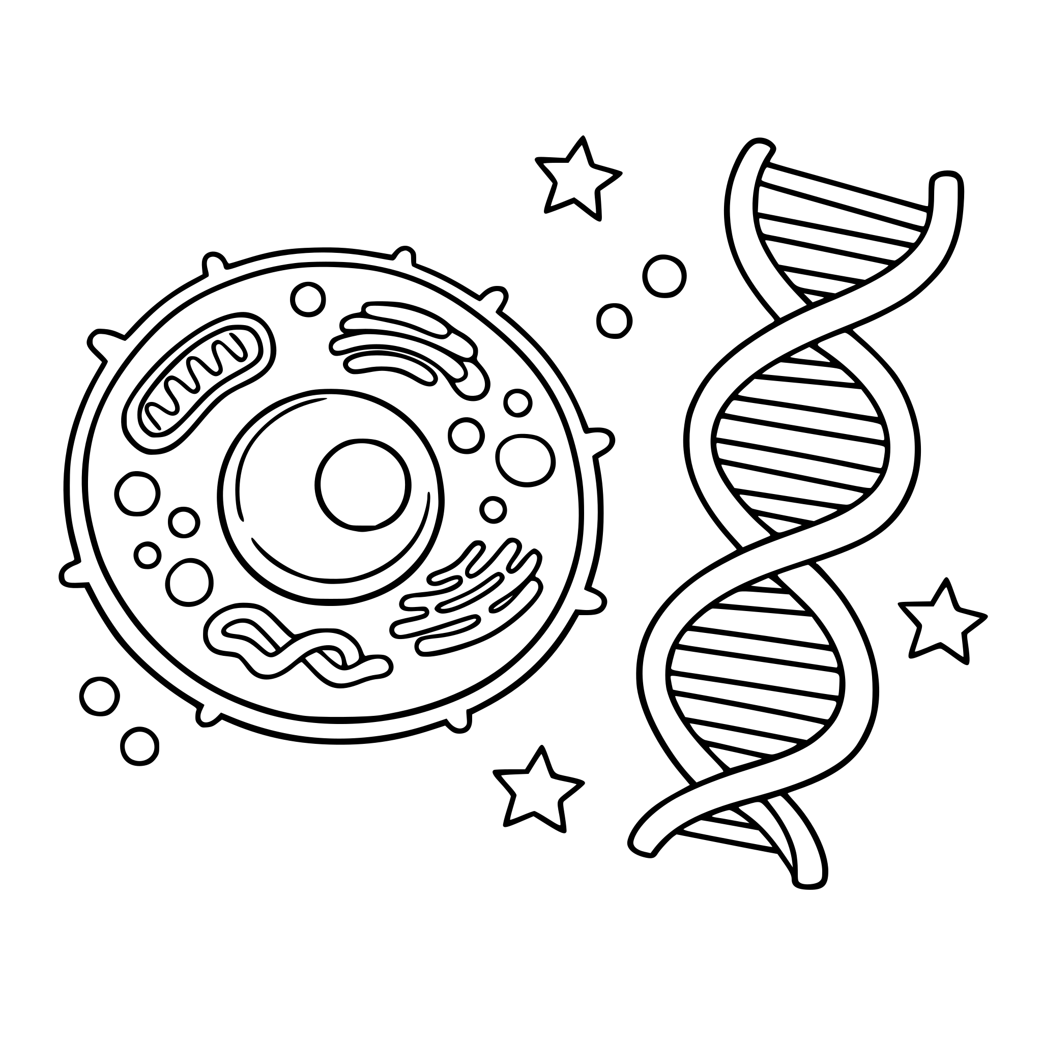 Una célula y el ADN