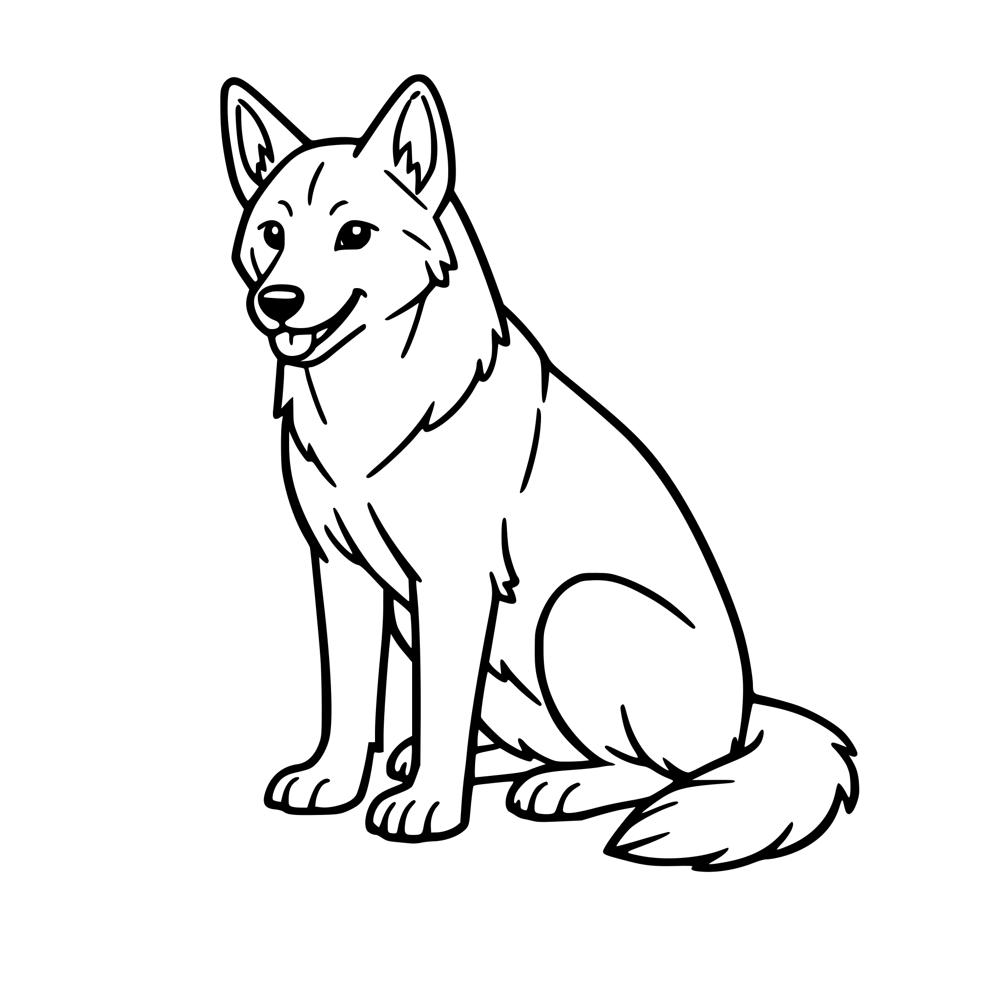 an australian dog dingo