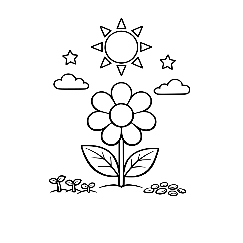 plant, simple flower, seeds, sun