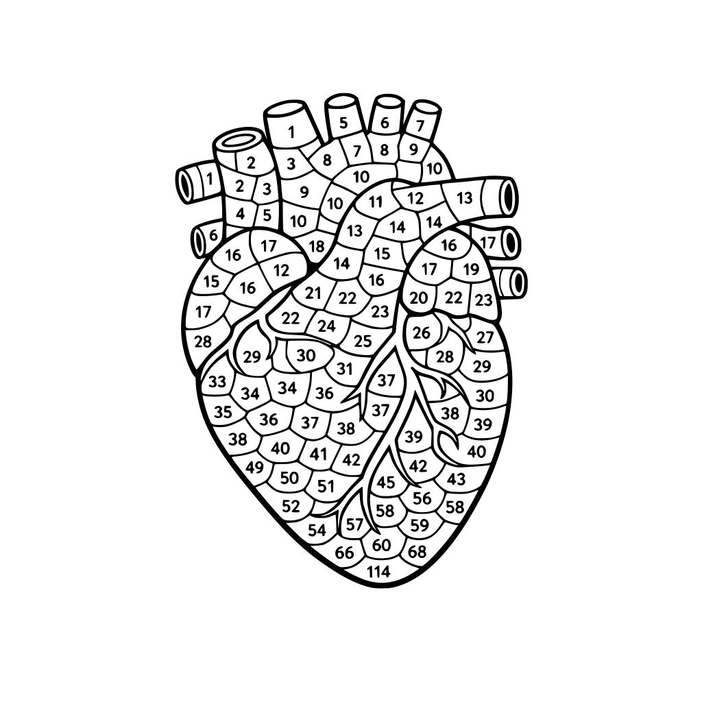 image de cœur réel divisée par 114 partie