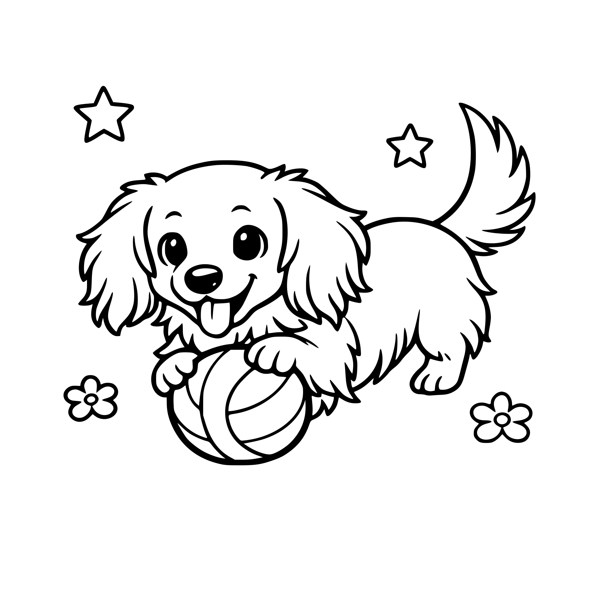 mini long haired dachshund playing with a ball outdoors