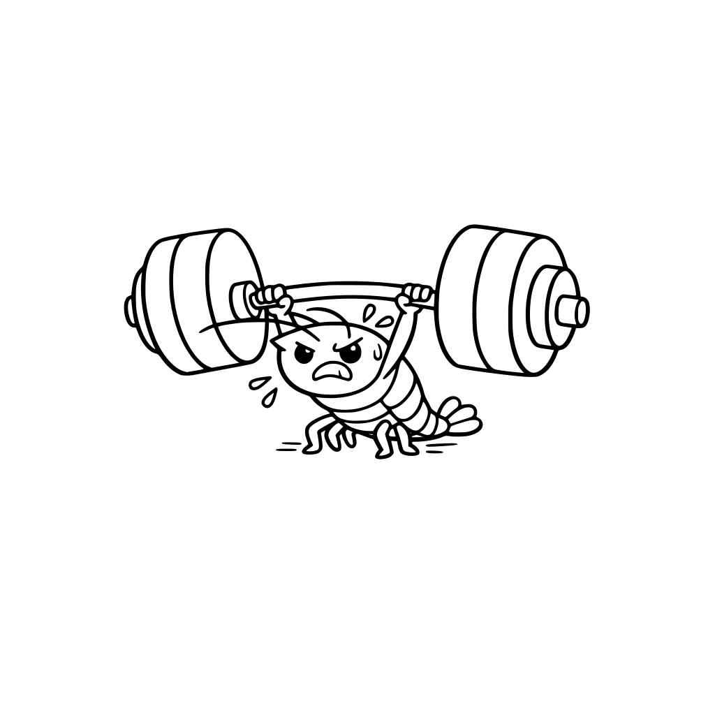 A tiny shrimp trying to lift a giant barbell that is much bigger than its body. The shrimp looks determined and struggling. Thick bold clean outlines. Very simple shapes. No shading. No textures. Minimal background. Large open spaces for easy coloring