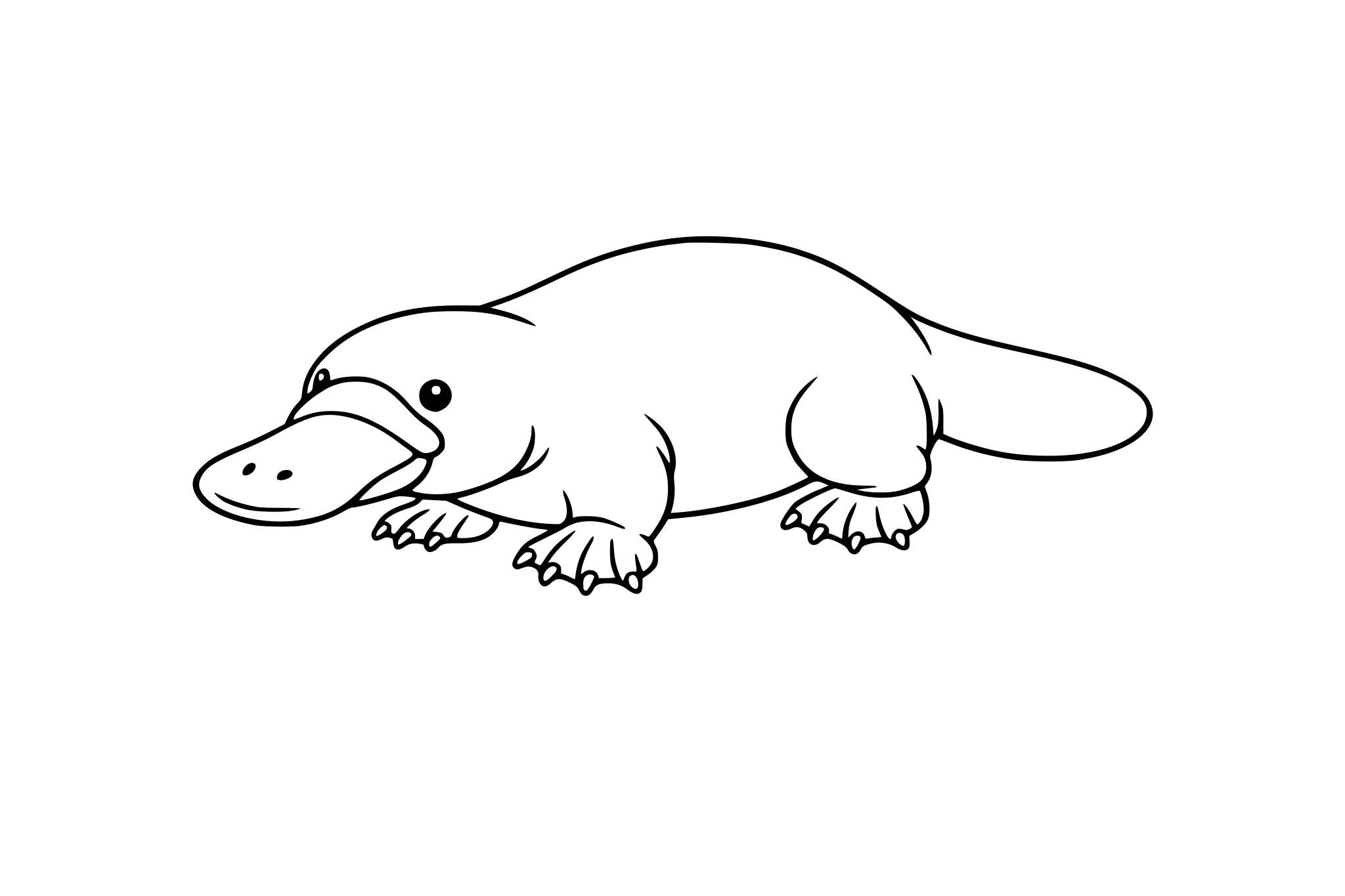 platypus realistic no stars