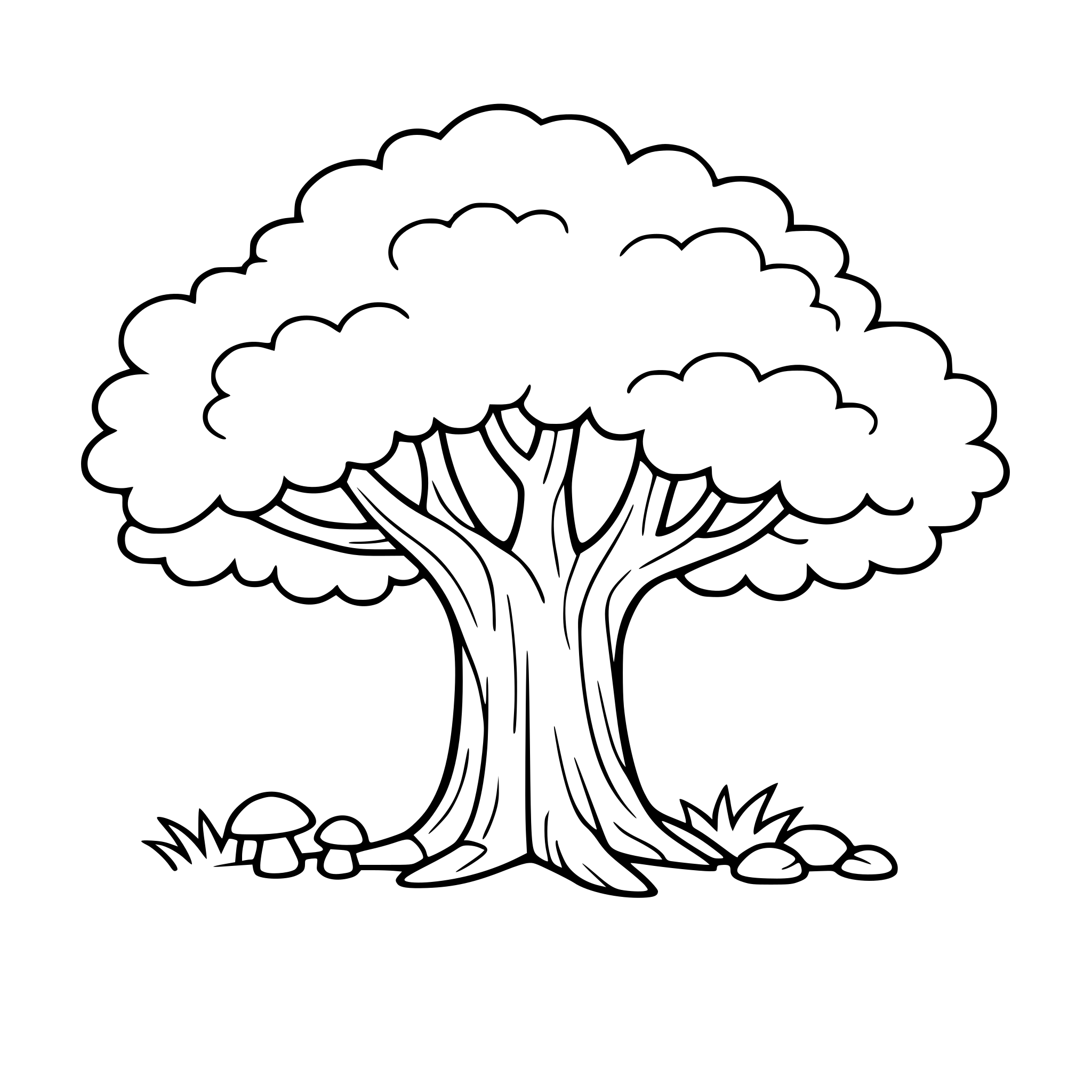 un albero