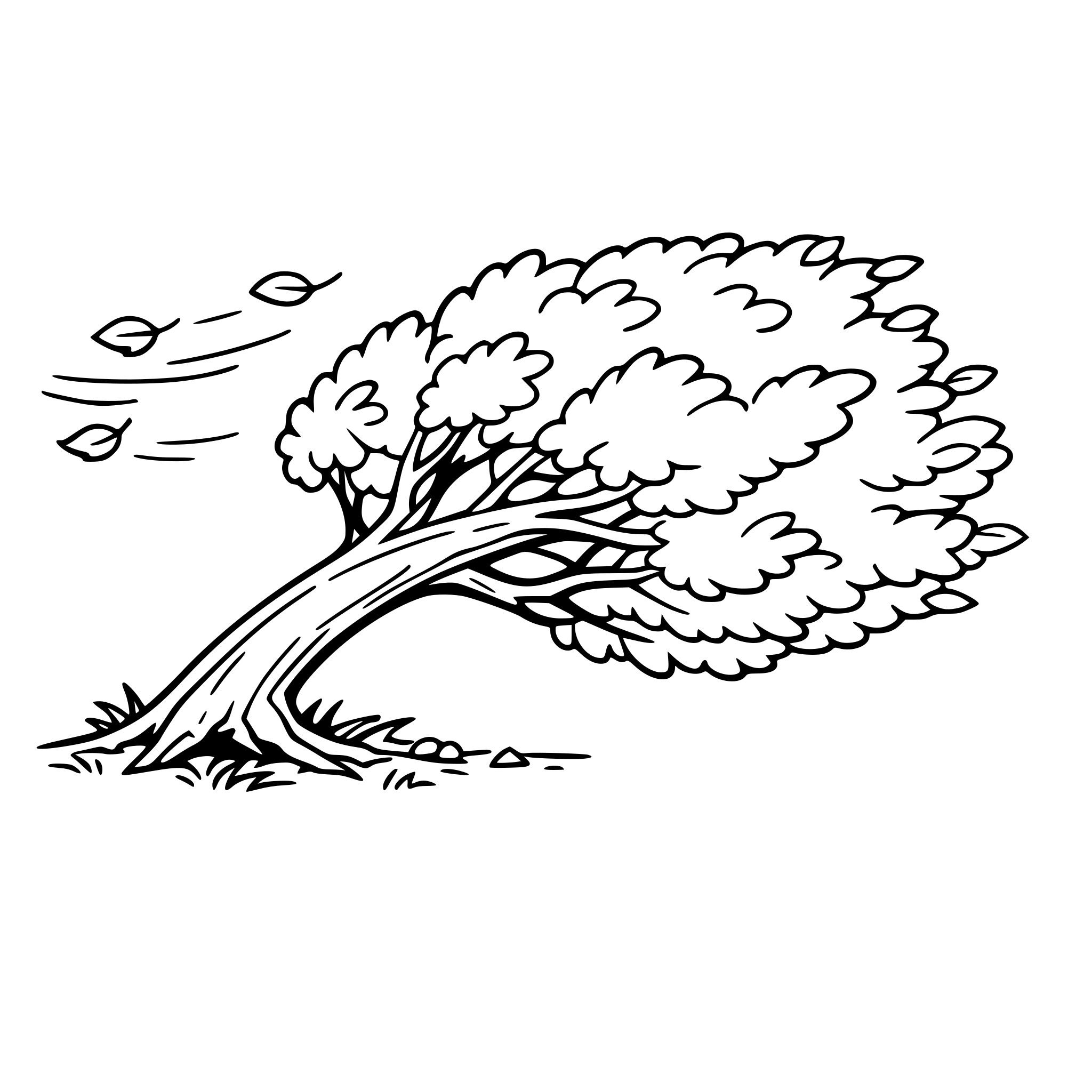 Create an image of a large leafy tree blowing in the wind and the tree leans and falls to the ground. White background, isolated.