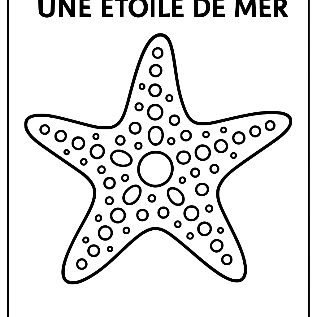 Une etoile de mer